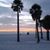 Barbara Willie Morris's profile image