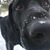 Shonna Barney Clark's profile image