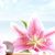 Anita McKinstry's profile image