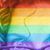 Kristine Leslie's profile image