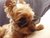 Joye G.'s profile image