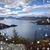 Karen Viering's profile image