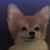 John R Musilli Jr.'s profile image