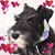 MaryKay Pfingsten's profile image