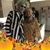 Judy Seps's profile image
