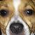 Jeremy Nettifee's profile image