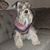 Brenda Lundgren's profile image