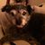 Scott Warren Sharff's profile image