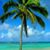 Heidi L. Warren's profile image