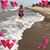 Beth Smith's profile image