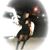 Mo Moe's profile image