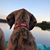 Kathryn Rene Beausoleil's profile image