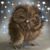 Denise Gifford's profile image