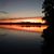 Jennifer Davis Warner's profile image