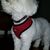 Emman Kidd's profile image