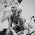 Amy Caroline Schorn's profile image