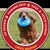Tugger McGruff's profile image