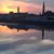 Pam Petrini's profile image