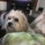 Linda Goodwin Olson's profile image