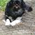 Karen Werner's profile image