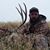 Miles Murri's profile image