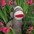 Lauri Miller's profile image