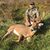 Stephen Pullen's profile image