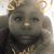 Shalane Herrod's profile image