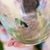 Suzanne Bobosky Matteo's profile image