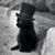 Carolyn Adams's profile image