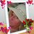 Lisa Edwards's profile image