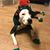 Cristy Rosales's profile image