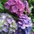Cindy Coonrad Bowlby's profile image