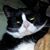 Jenny Whittemore's profile image