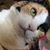 Jackie J. Jablonski-Gohn's profile image