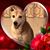 Lorri Fucci Kleeh's profile image