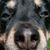 Todd Nathaniel's profile image