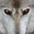 Michael Oaks's profile image