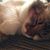 Debra Dipko's profile image