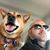 Greg Wheelan's profile image