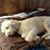 Janet Urgo's profile image