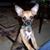 Lisa Reppucci's profile image