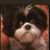 Ronnie Ake's profile image