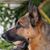 Chris-Tina Otto's profile image