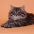 Katherine Bock's profile image
