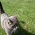 Sage Juliet Alpert's profile image