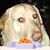 Leslee Brown's profile image