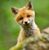Nita Whitmore's profile image