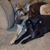Katie Jones's profile image