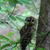 Kathy McGuffee's profile image